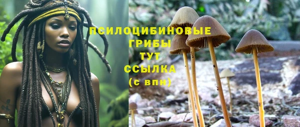 таблы Магас