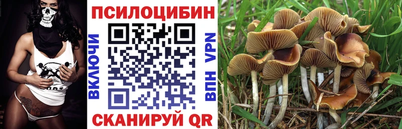 Галлюциногенные грибы Cubensis  Новотитаровская 